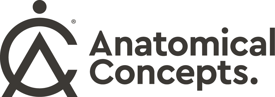 Anatomical Concepts UK
